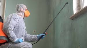 Best Industrial Mold Remediation  in Ellenton, FL