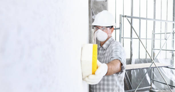  Ellenton, FL Mold Removal & Remediation Pros