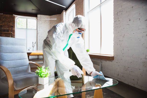 Biohazard Mold Removal in Ellenton, FL